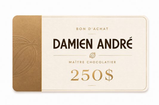 Carte-Cadeau Damien André - 250$