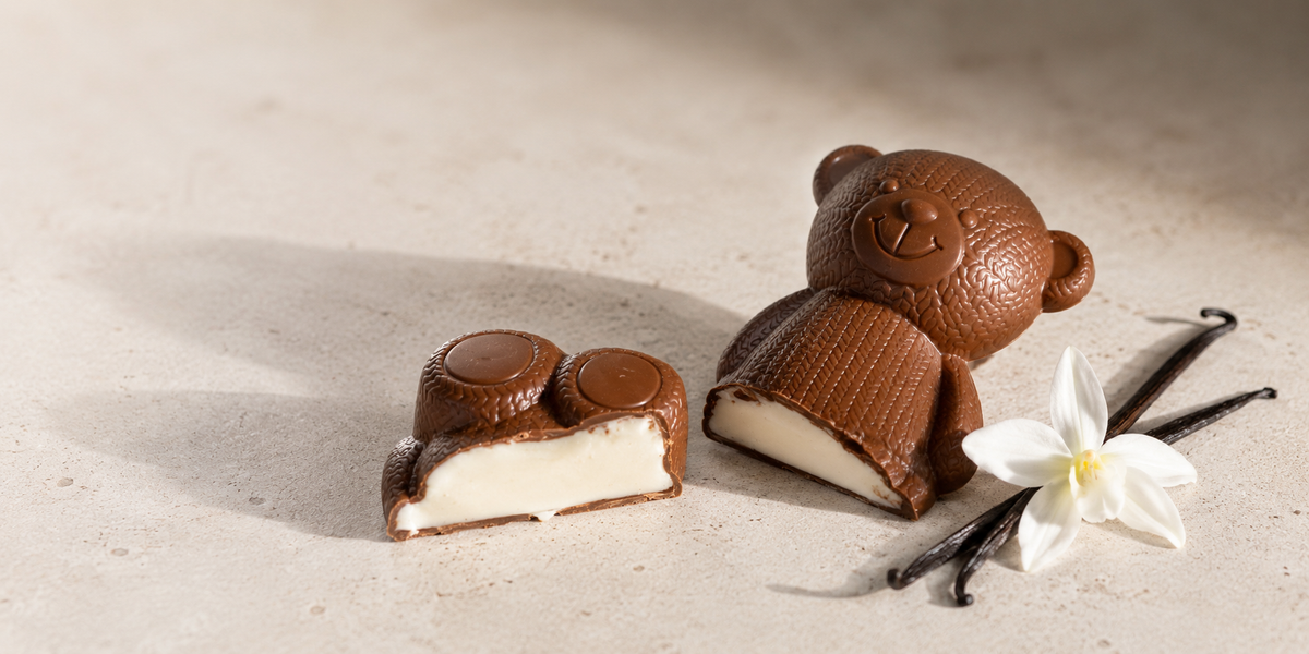 Ourson Bil et chocolats artisanaux Damien André fabriqués à Montréal